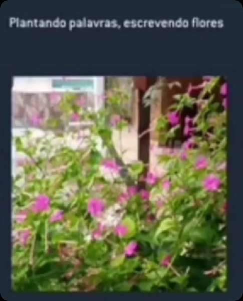Plantando palavras, escrevendo flores